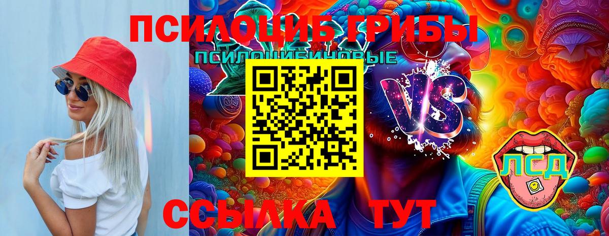 Псилоцибиновые грибы прущие грибы  Вход с VPN  Сызрань 