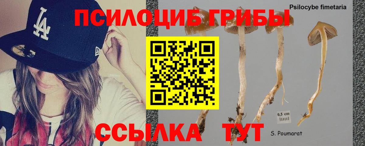 Вейп ТГК  Сызрань  МДМА  Вход с VPN  Меф кристаллы  Гашиш  Канабис 